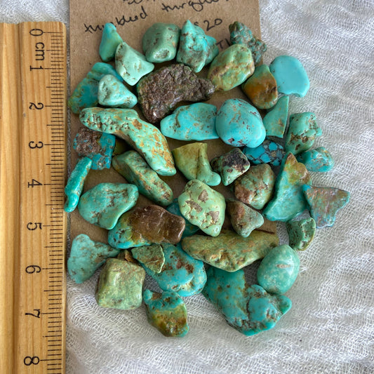 Rough Tumbled Sonoran Gold Turquoise - #ST10
