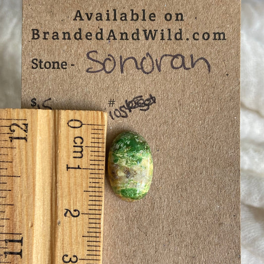Sonoran Turquoise Cabochon - ST105