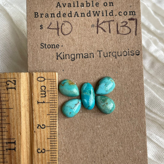 Kingman Turquoise Cabochon - KT137 509EEE15-5766-4B6C-9D15-0ACE72D189B6 Brandedandwild.com