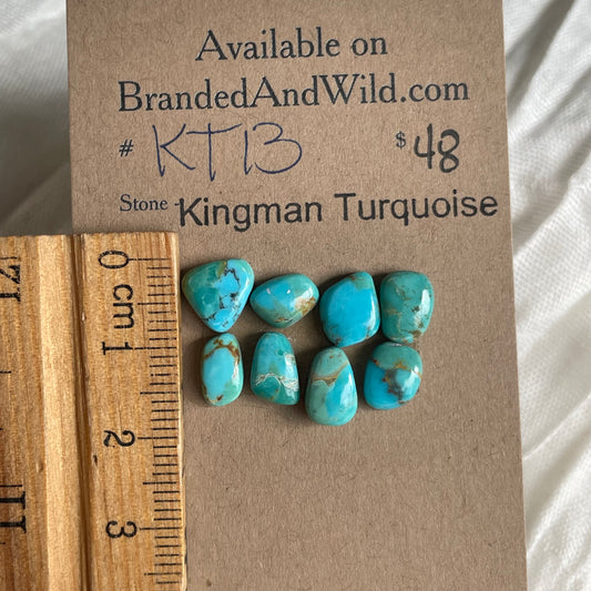 Kingman Turquoise Cabochon - KT13 50A03B60-55E2-460D-AD61-7C1E99458FAC Brandedandwild.com