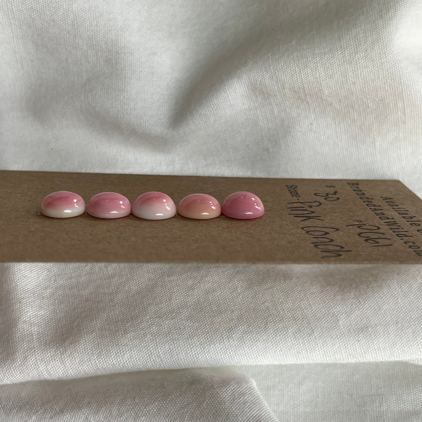 Pink Conch Cabochon - PC61