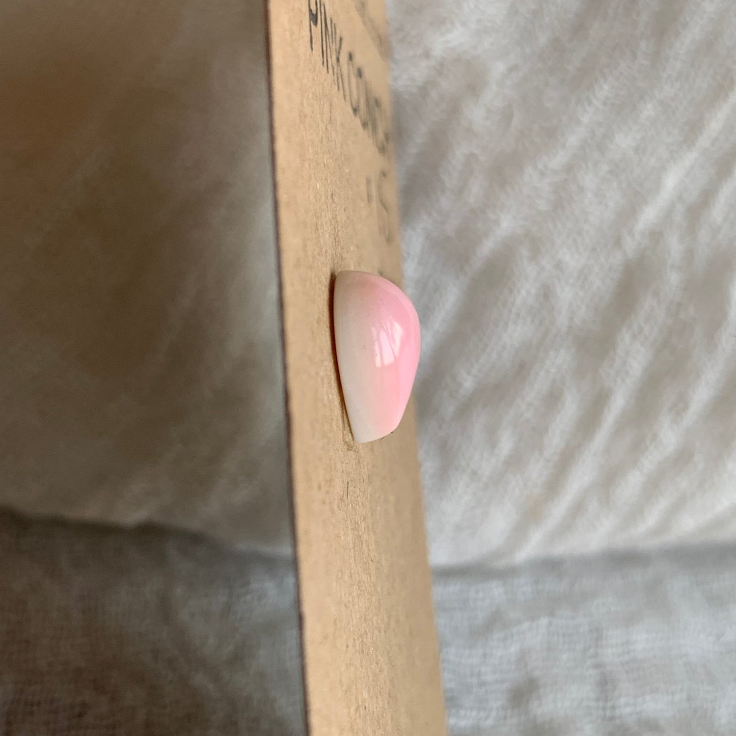 Pink Conch Cabochon - PC74