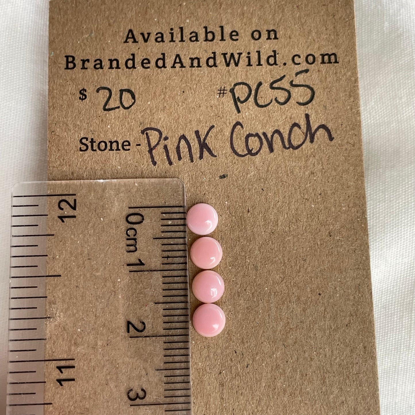Pink Conch Cabochon - PC55
