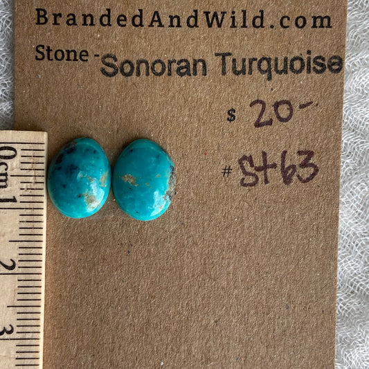 Sonoran Turquoise Cabochon - ST63