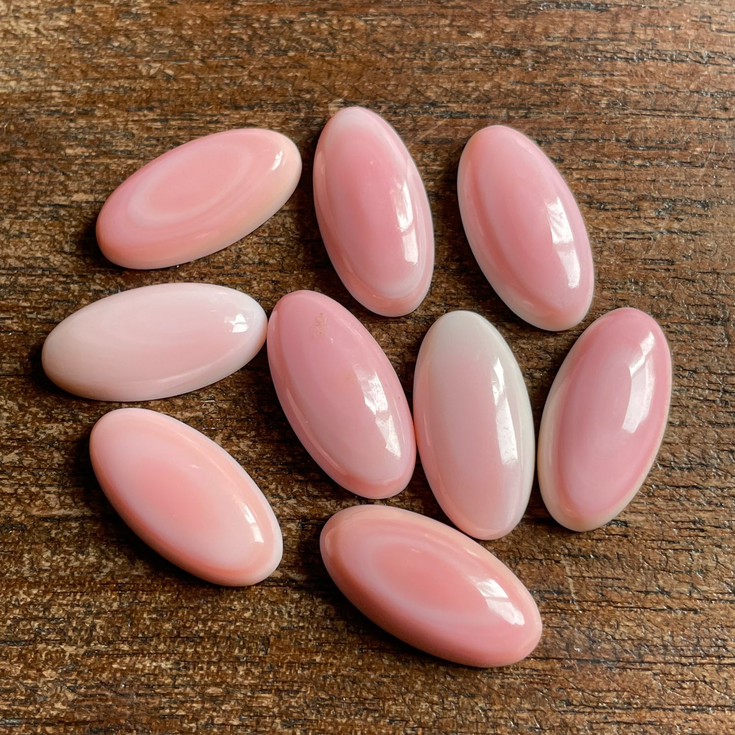 Pink Conch 10x20 mm