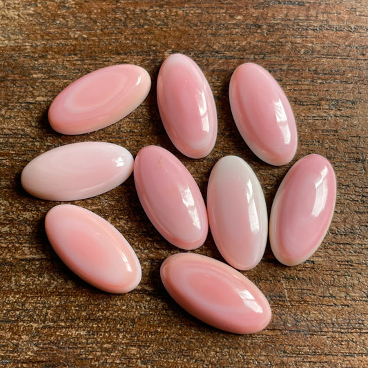 Pink Conch 10x20 mm