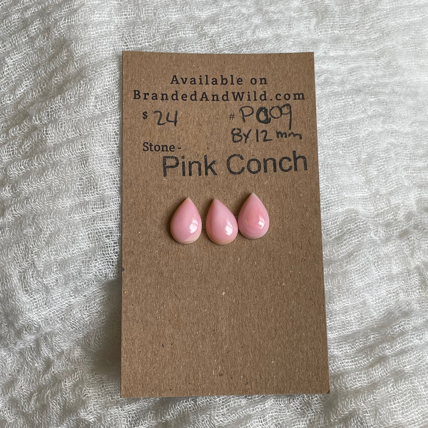 Pink Conch Cabochon - PC09