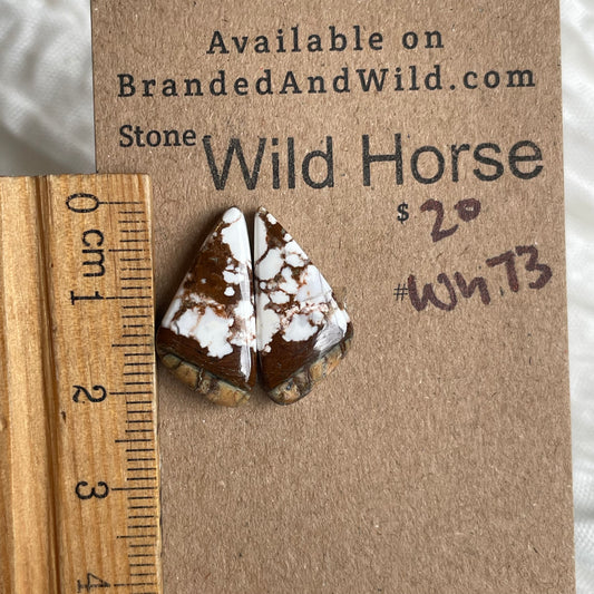 Wild Horse Cabochon - WH73 51CB5AA1-C203-4DF1-AA6F-05DEB71EC790 Brandedandwild.com