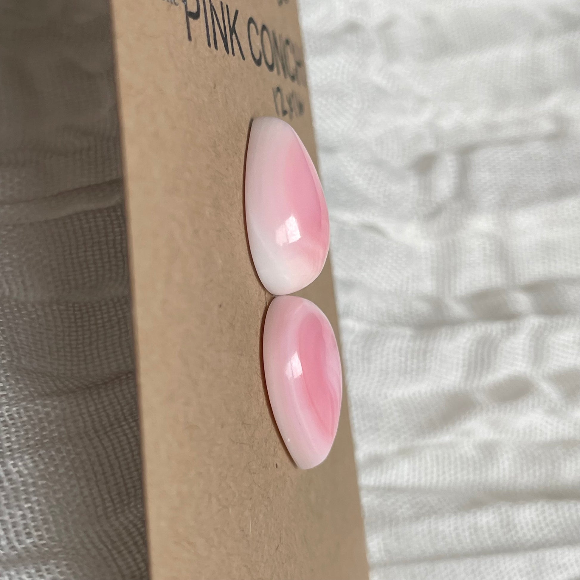 Pink Conch Cabochon - PC40 5204C725-41EE-493A-A99B-5A769871FE87 Brandedandwild.com