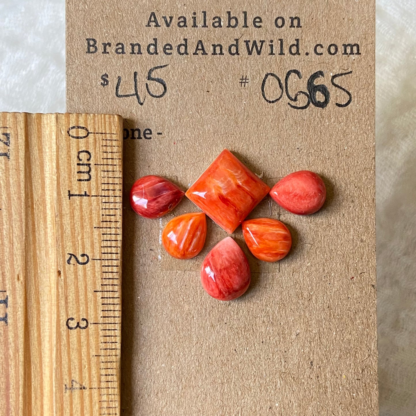 Oystershell Cabochon - OS65 521CB625-A123-446B-A4E6-96B442C4784D Brandedandwild.com