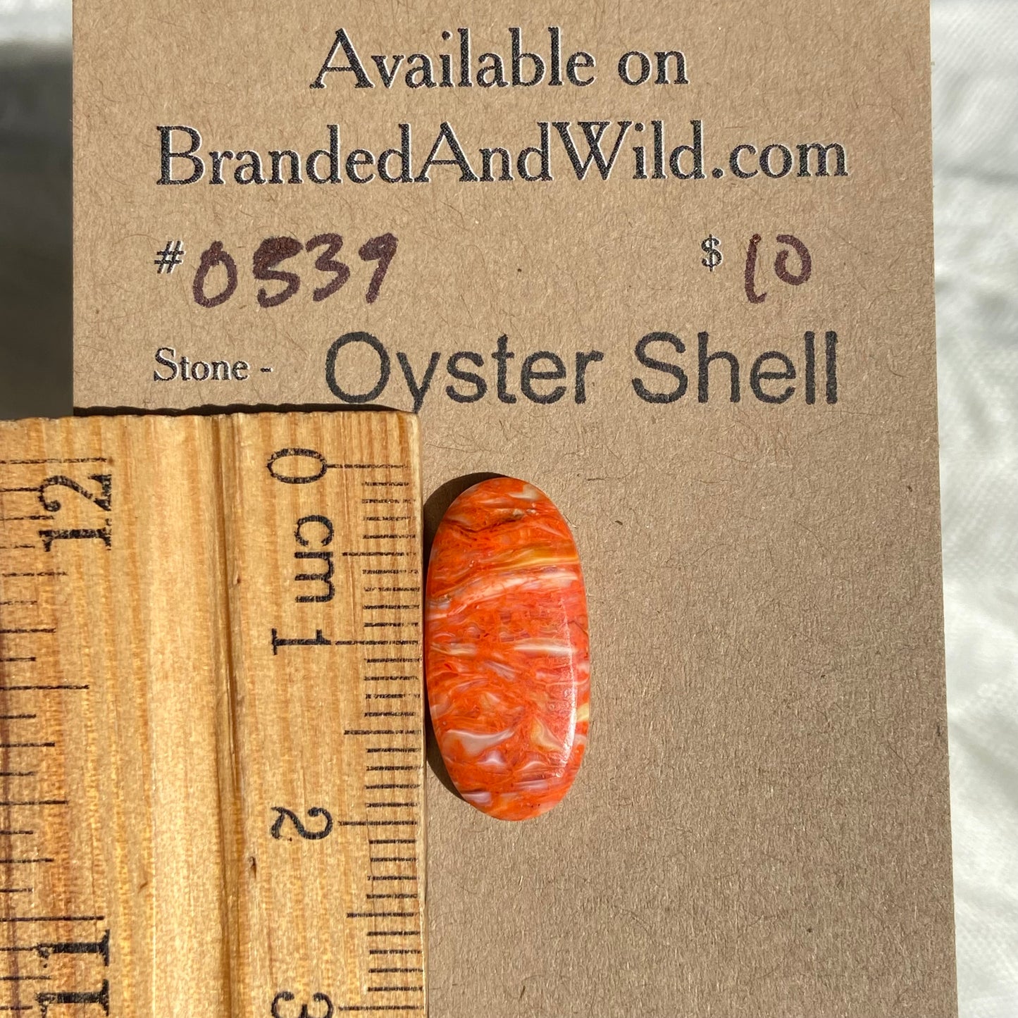 Oystershell Cabochon - OS39 52262EC8-7F92-4B63-967F-D3CADE9F203F Brandedandwild.com