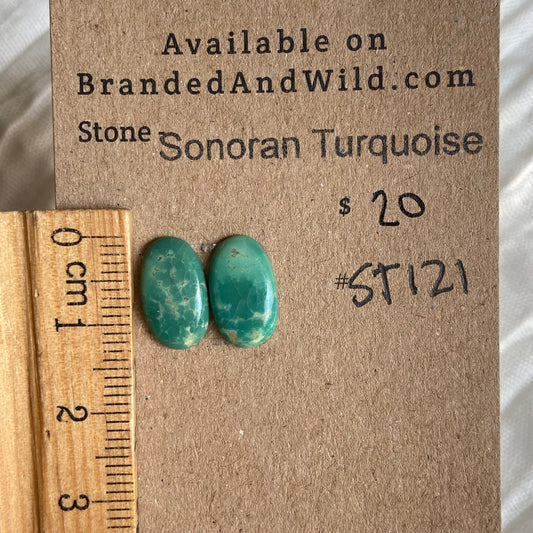 Sonoran Turquoise Cabochon - ST121 523E005D-912B-41F8-9EA5-36667A8909BB Brandedandwild.com
