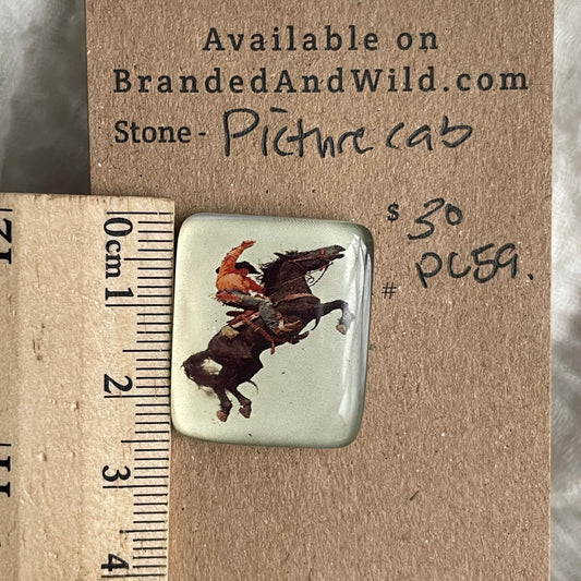 Picture Cabochon - Cabochon - PC59 52830973-05B6-4596-9C97-AA21B947BA2C Brandedandwild.com