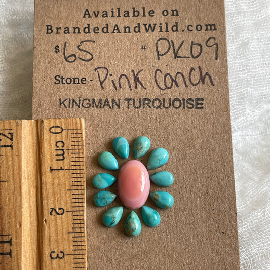 Pink Conch / Kingman Turquoise Cabochon - PK09