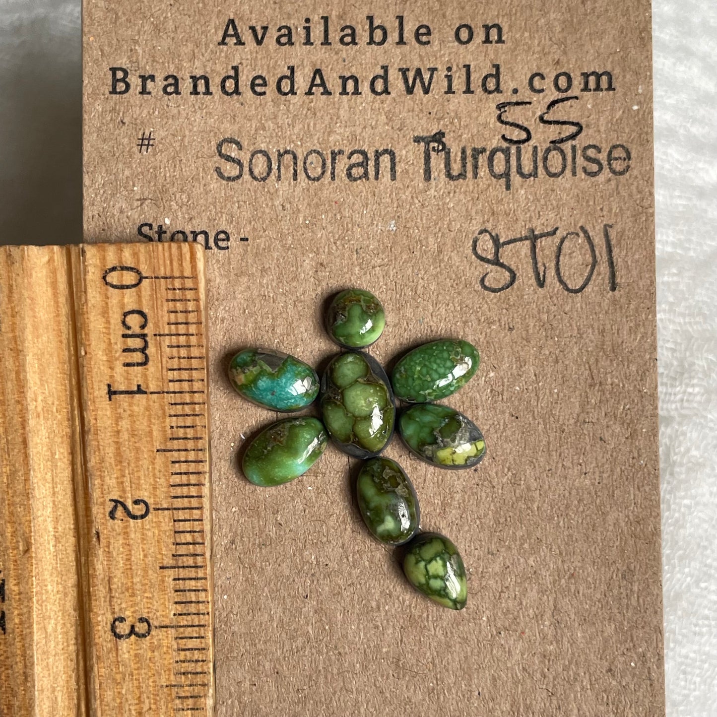 Sonoran Turquoise Cabochon - ST01