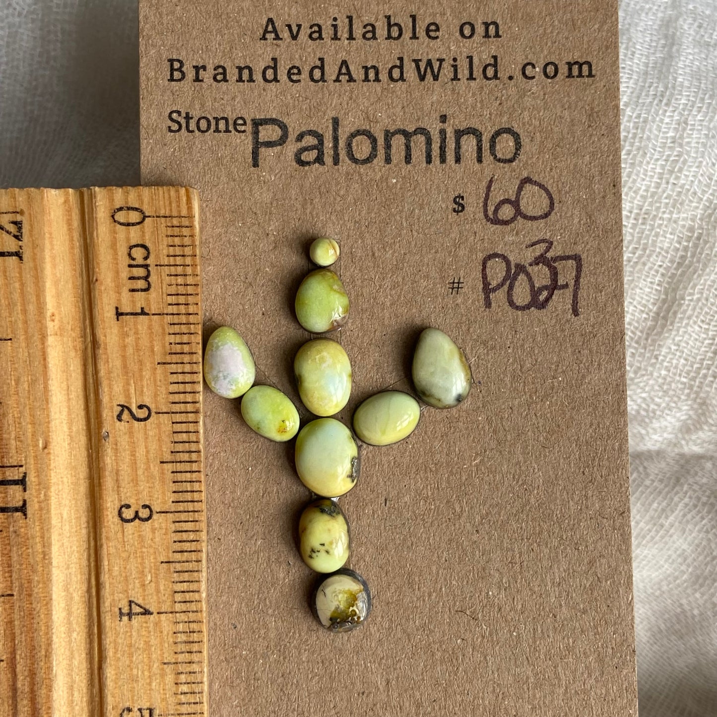 Palomino Cabochon - P037