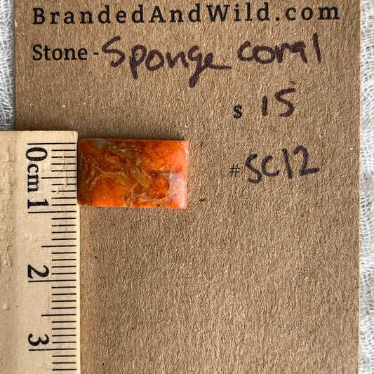 Sponge Coral Cabochon - SC12