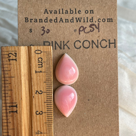 Pink Conch Cabochon - PC54 52BB101C-1793-4861-957F-1D3DE1A55F6C Brandedandwild.com