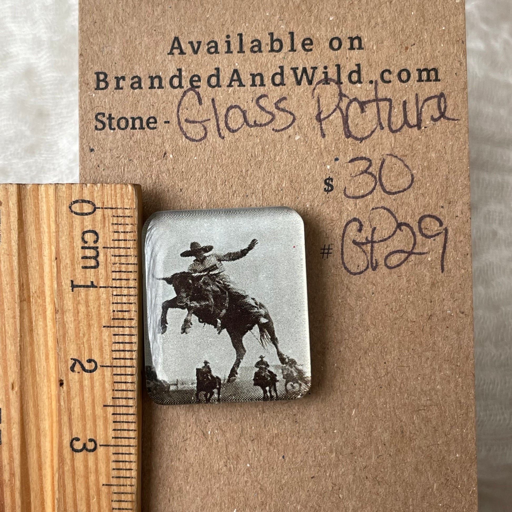 Glass Picture - Cabochon - GP29 52D1AAEE-AEEA-4931-8ED0-58ACB7E279B2 Brandedandwild.com