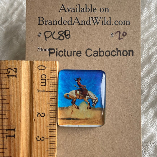 Picture Cabochon - Cabochon - PC88 52EA7389-511F-42E1-8C5D-3B4E524DBFAD Brandedandwild.com