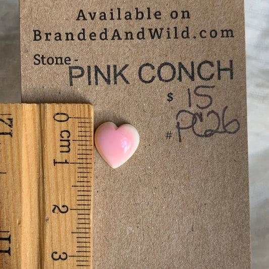 Pink Conch Cabochon - PC26