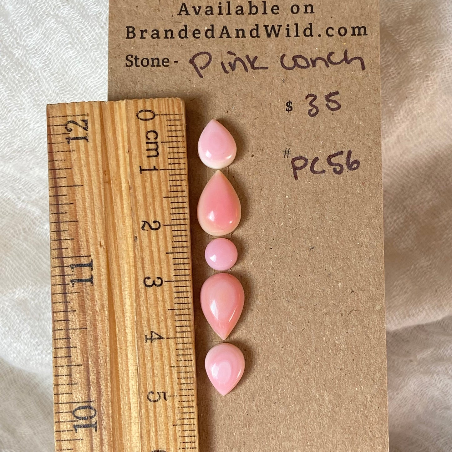 Pink Conch Cabochon - PC56