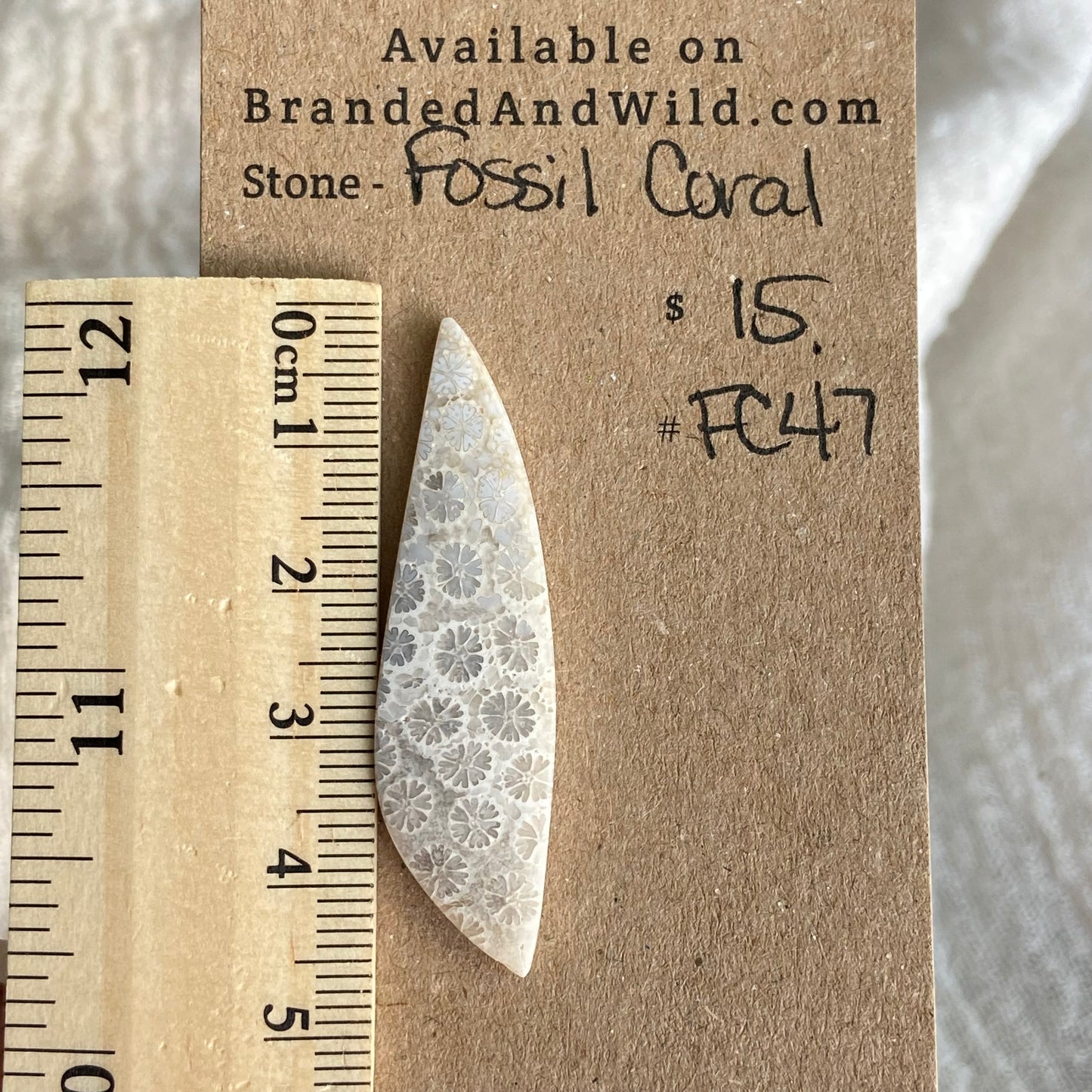 Fossil Coral Cabochon - FC47