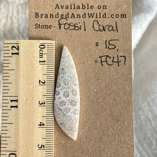 Fossil Coral Cabochon - FC47