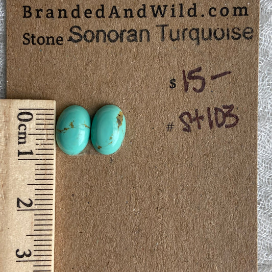 Sonoran Turquoise Cabochon - ST103