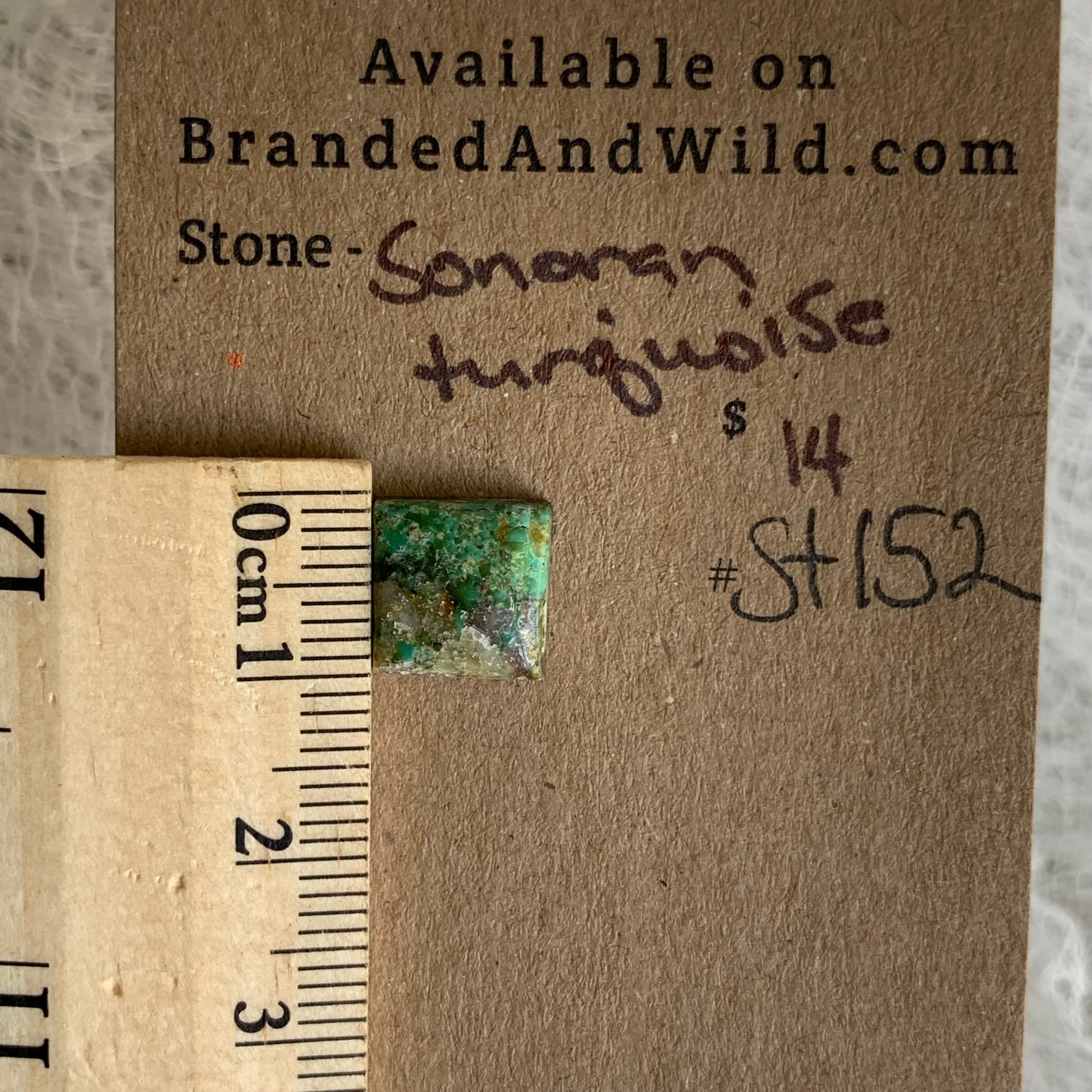 Sonoran Turquoise Cabochon - ST152