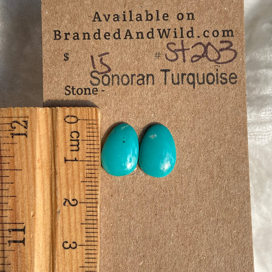 Sonoran Turquoise Cabochon - ST203