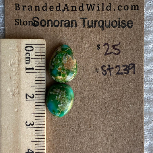 Sonoran Turquoise Cabochon - ST239