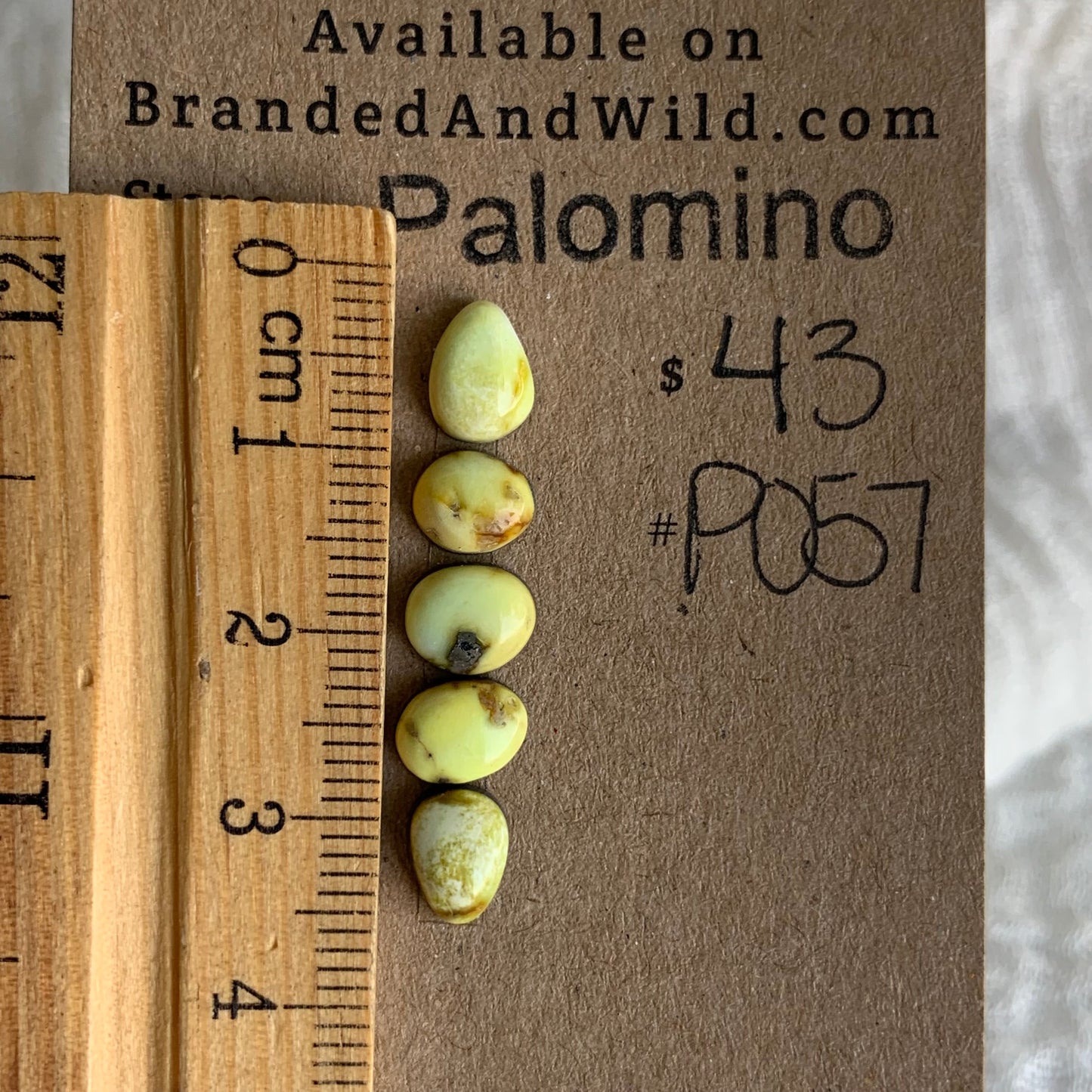 Palomino Cabochon - P057