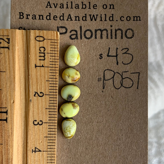 Palomino Cabochon - P057