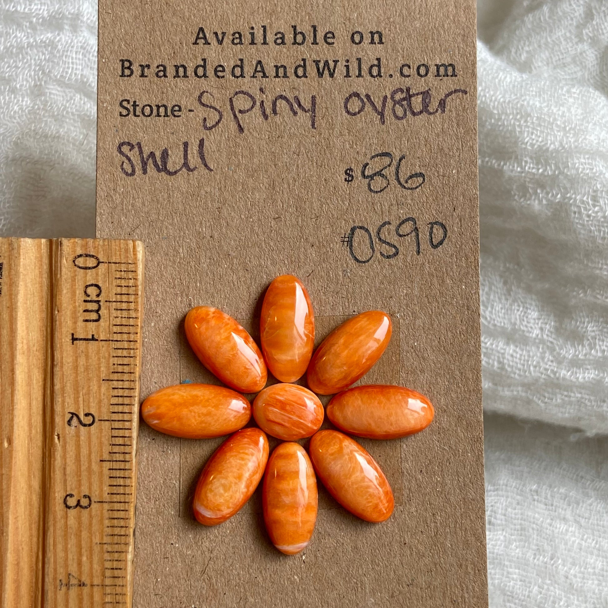 Oyster Shell Cabochon - OS90 53970602-6ED3-423A-AD99-9A6DF0A34D3D Brandedandwild.com