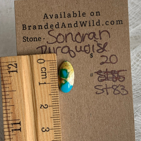 Sonoran turquoise cabochon - ST83