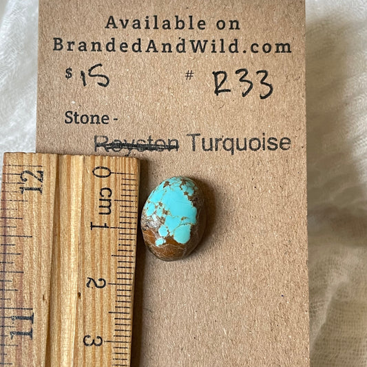 #8 Turquoise Cabochon - R33 53CC3582-08D5-4317-9B1C-BD70FE7678A2 Brandedandwild.com