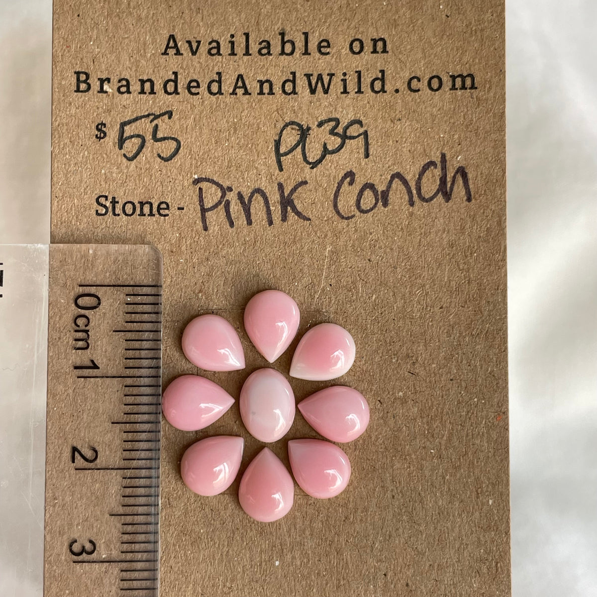 Pink Conch Cabochon - PC39 53CFDE64-A4FE-43D3-8BB9-DADBB5AAB66A Brandedandwild.com