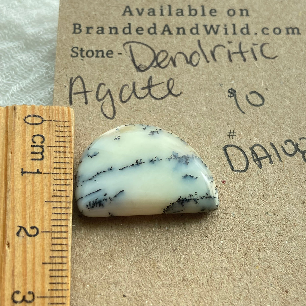 Dendritic Agate Cabochon - DA108