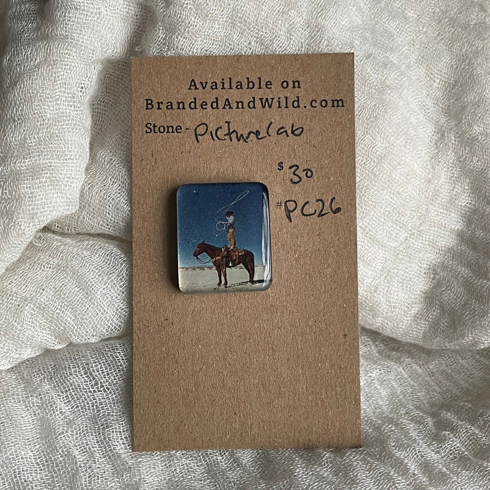 Picture Cabochon - Cabochon - PC26 53FA2230-8124-480C-8C2D-ED10F8B68B3E Brandedandwild.com