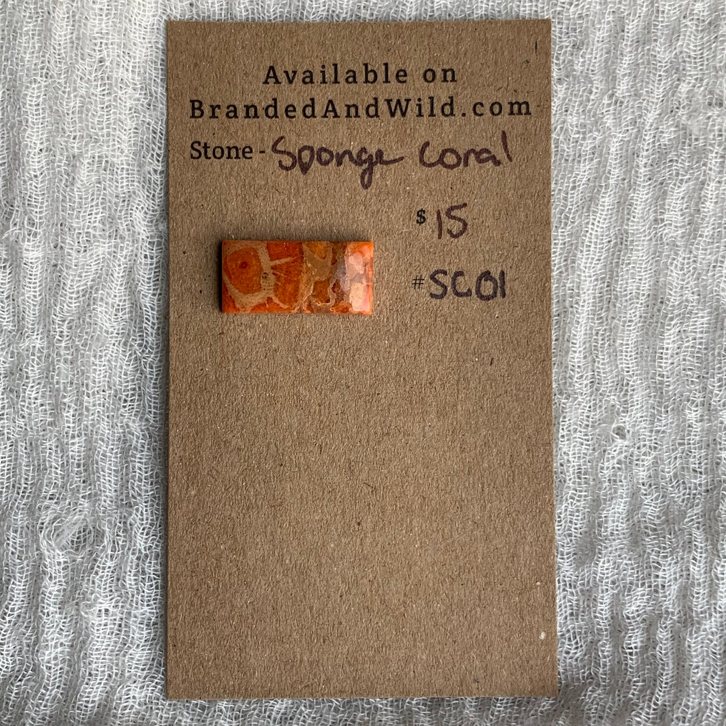 Sponge Coral Cabochon - SC01