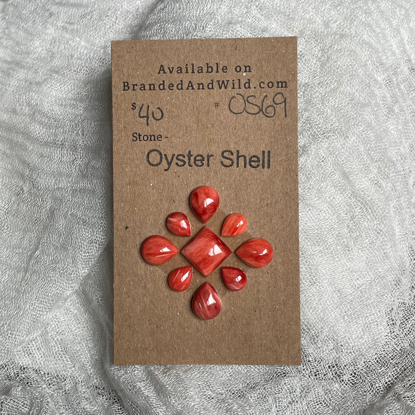 Oyster Shell Cabochon - OS69
