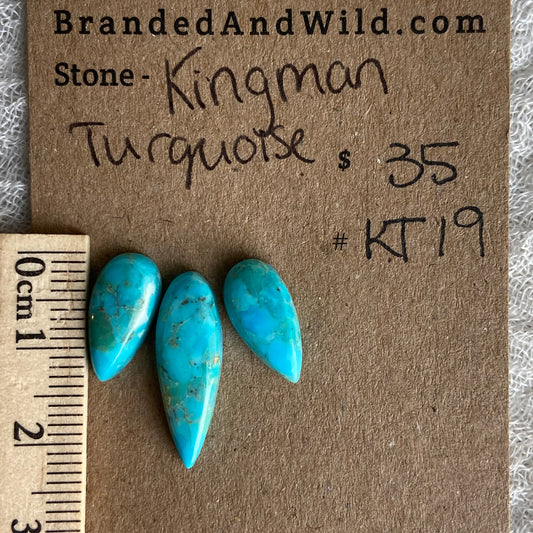 Kingman Turquoise Cabochon - KT19