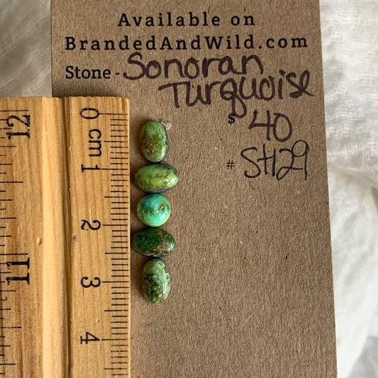 Sonoran Turquoise Cabochon - ST129