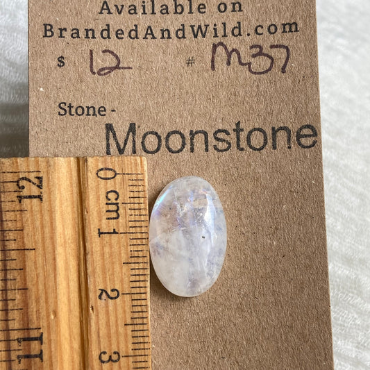 Moonstone Cabochon - M37 545B00C6-EDB3-4557-9479-336044B454FB Brandedandwild.com