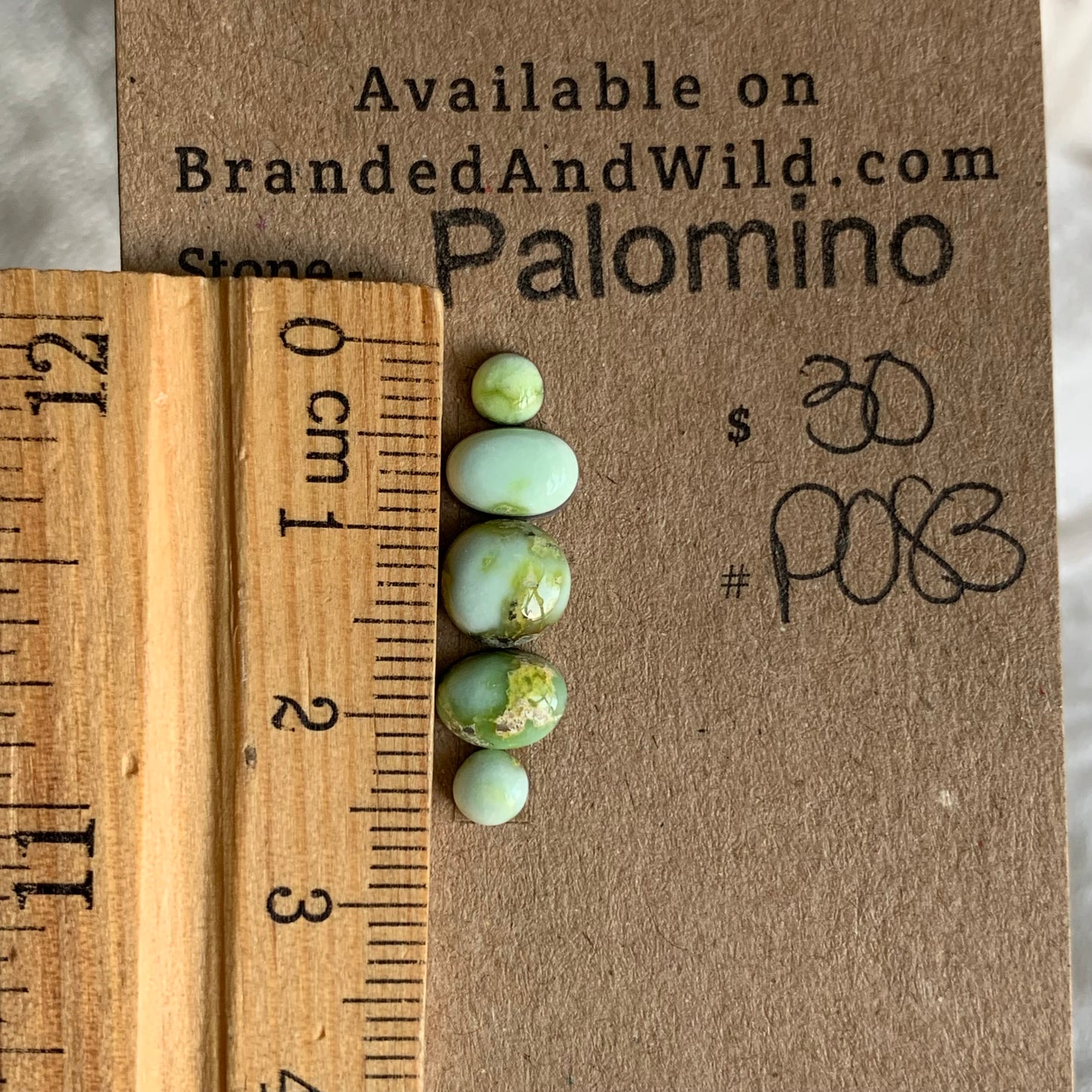 Palomino Cabochon - P083