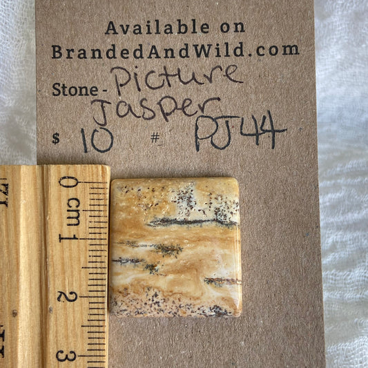 Picture Jasper Cabochon - PJ44