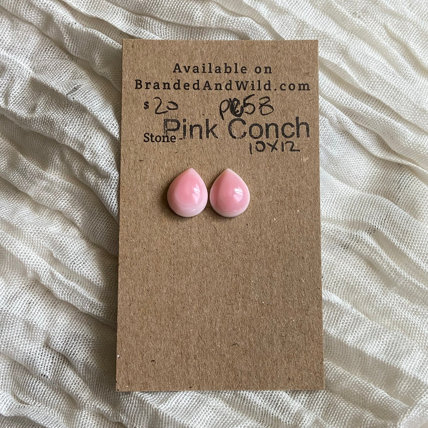 Pink Conch Cabochon - PC58