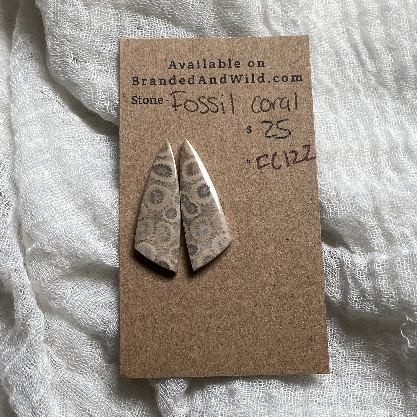 Fossil Coral Cabochon - FC122