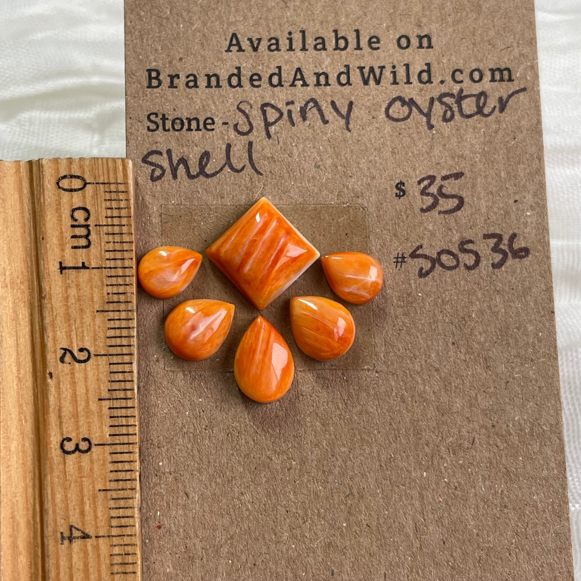 Oyster Shell Cabochon - S0S36 54A88687-3127-484C-A027-0BBF5A11EE88 Brandedandwild.com